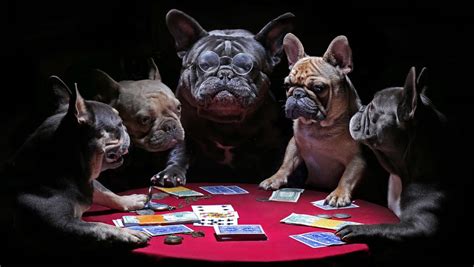 The Story Behind the “Dogs Playing Poker” Painting – BetMGM.